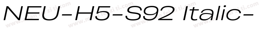NEU-H5-S92 Italic字体转换